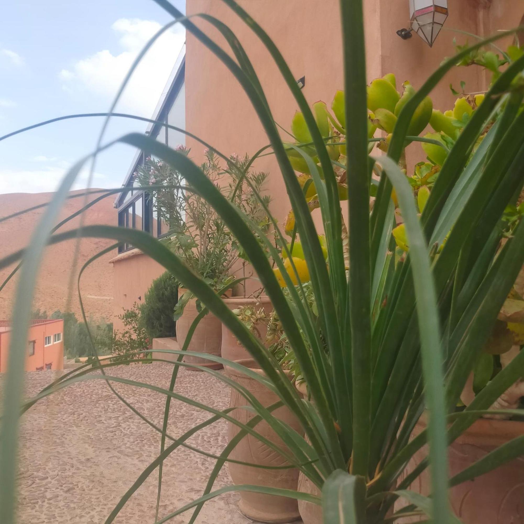 Kasbah Flilou Hotel Ait Ougliff Eksteriør billede